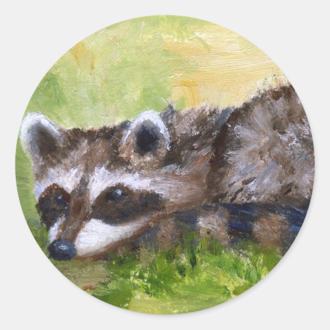 Rascal aceo Racoon Sticker (Front)