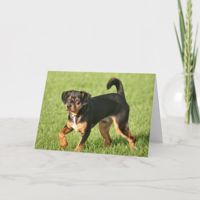 Rascal Card (Front)