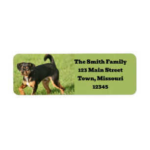 Rascal Return Address Label