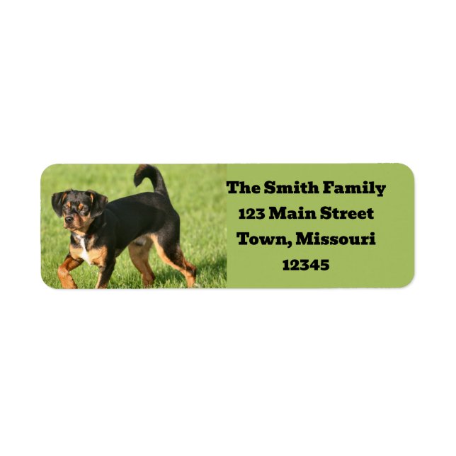 Rascal Return Address Label (Front)