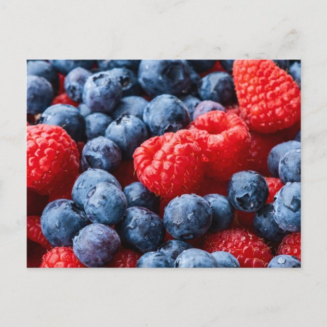 Raspberries and Blueberries Postcard (Front)