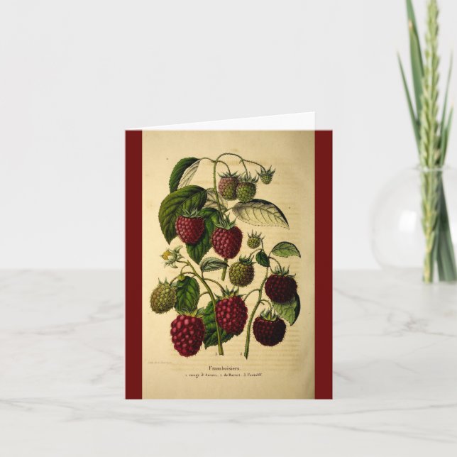 Raspberries Card (Front)