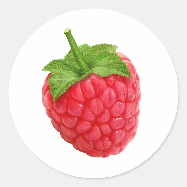 Raspberries Classic Round Sticker (Front)