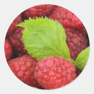 Raspberries Classic Round Sticker
