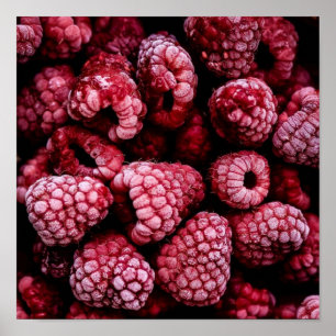 Raspberries Fresh Red Poster