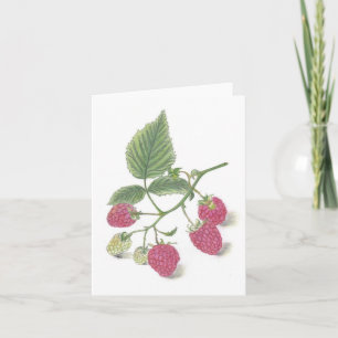 Raspberries Note Card