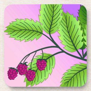 Raspberries on a branch coaster