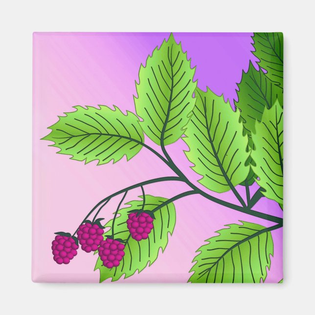 Raspberries on a branch magnet (Front)