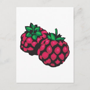 raspberries postcard