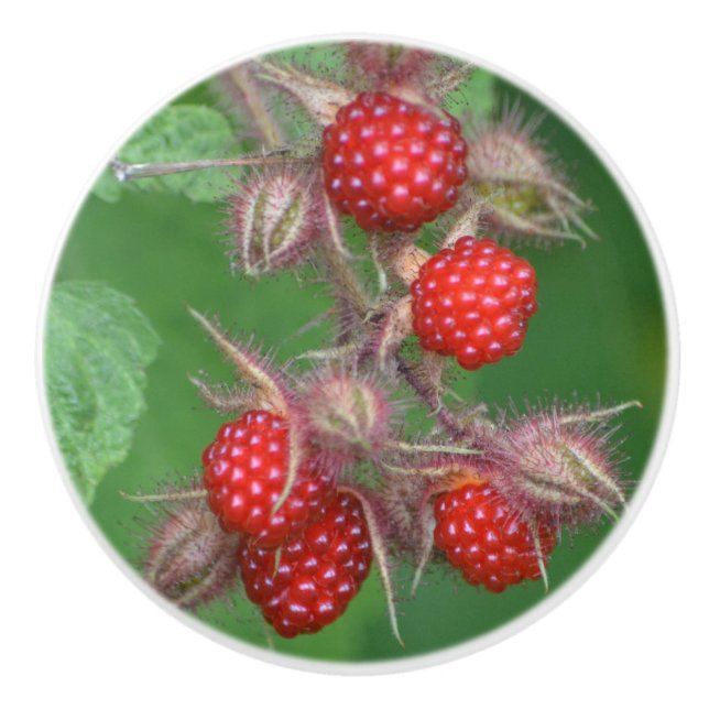 Raspberry Ceramic Knob (Front)