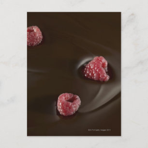 raspberry chocolate postcard