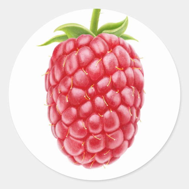 Raspberry Classic Round Sticker (Front)