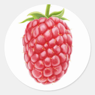 Raspberry Classic Round Sticker