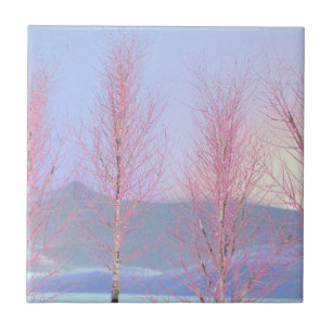 Raspberry Creme Birch Ceramic Tile