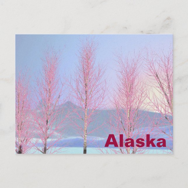 Raspberry Creme Birch Postcard (Front)
