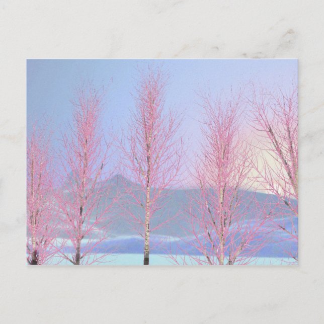 Raspberry Creme Birch Postcard (Front)