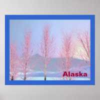 Raspberry Creme Birch