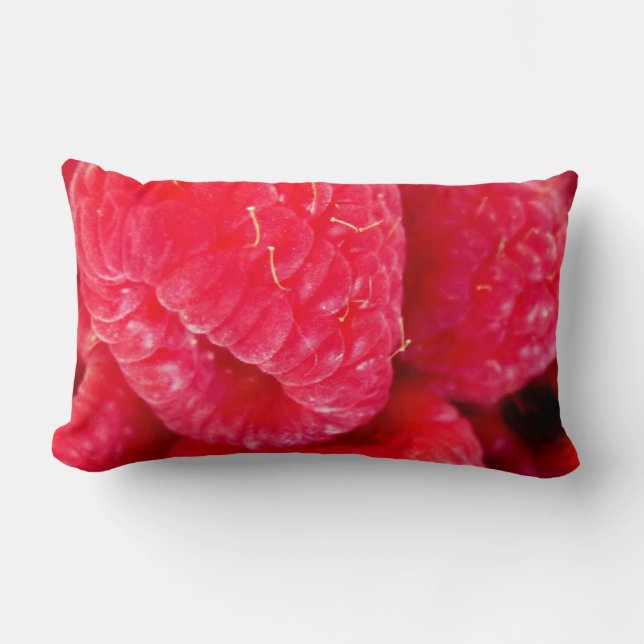 Raspberry Delight Lumbar Pillow (Front)