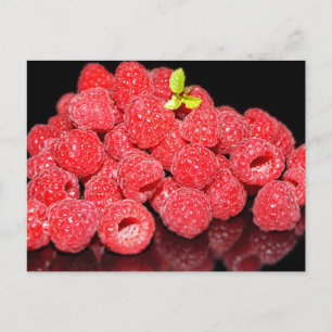 raspberry, food, fruit, berry, ripe, fresh, postcard