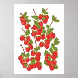 Raspberry fruit poster