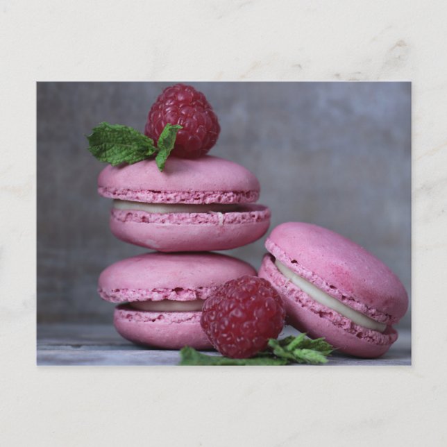 Raspberry Macarons Pink French Pastry Postcard (Front)