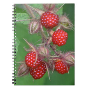 Raspberry Notebook