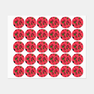 Raspberry Pattern