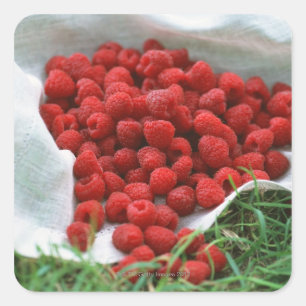 Raspberry Square Sticker