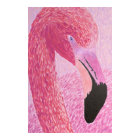 Raspberry the Flamingo - by Just Dahl Poster