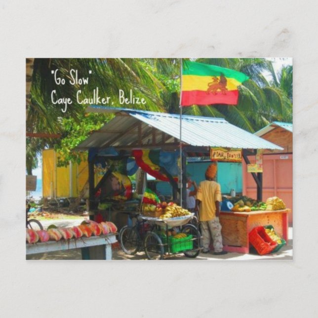 Rasta Veggie Stand n Caye Caulker, Belise Postcard (Front)