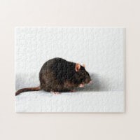 Rat 11x14 252pc jpcnm