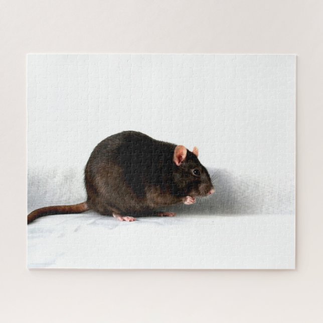 Rat 16x20 520pc jpcnm jigsaw puzzle (Horizontal)