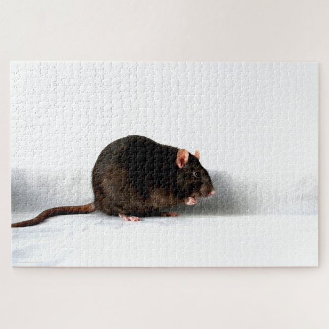 Rat 20x30 1014pc jpcn jigsaw puzzle (Horizontal)