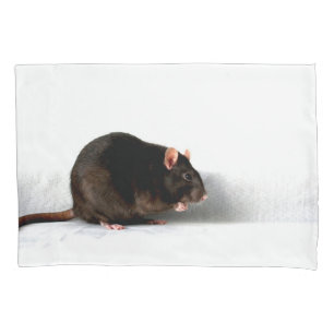 Rat bedpc arc pillowcase