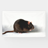 Rat bnrcnm