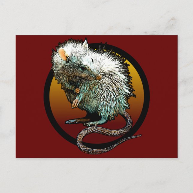 Rat Boi Postcard (Front)