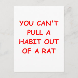 RAT divorce joke Postcard