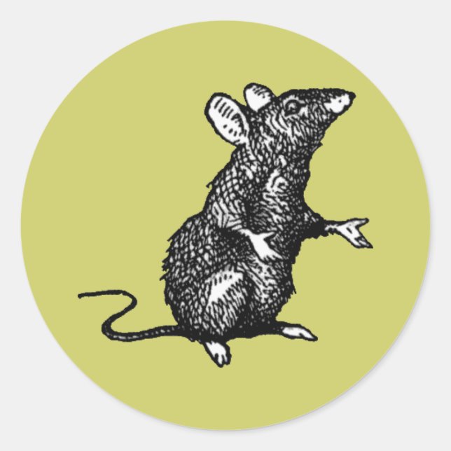 "rat face" - Customised Classic Round Sticker (Front)