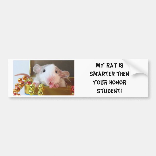 Rat Honour Student Bumper Sticker (Front)