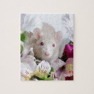 Rat in flowers. jigsaw puzzle