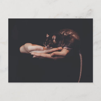 Rat in hand... postcard