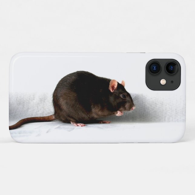 Rat ipha Case-Mate iPhone case (Back (Horizontal))