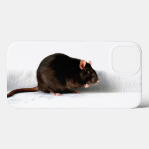 Rat iphcnm iPhone 13 case