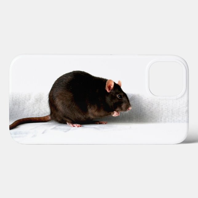 Rat iphcnm Case-Mate iPhone case (Back (Horizontal))
