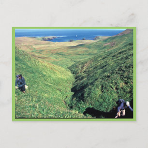 Rat Island, USbiologist Jeff Williams and Island C Postcard