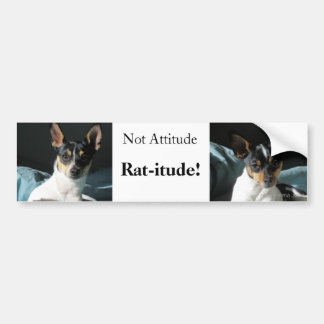 Rat-itude! Bumper Sticker