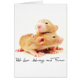 Rat Lover Always and Forever