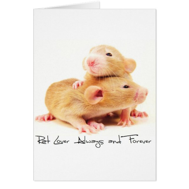 Rat Lover Always and Forever (Front)