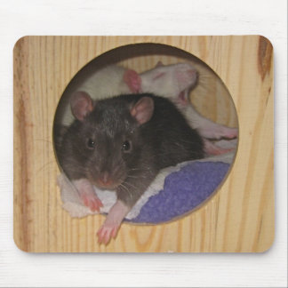 Rat Mousepad