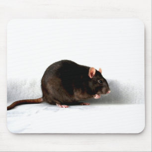 Rat mpm mouse pad